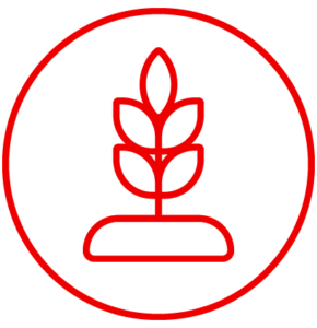 a growing crop icon