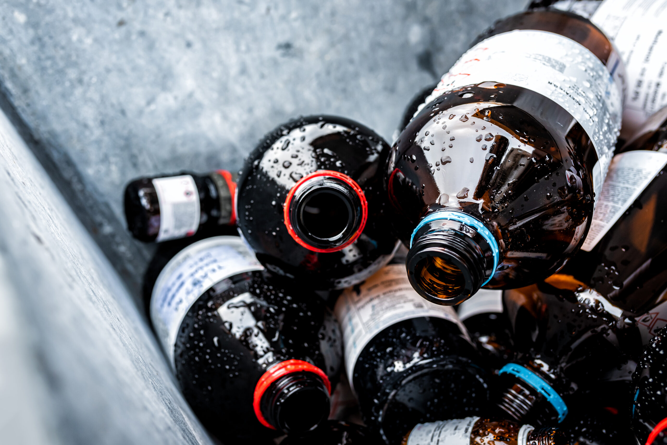 Close-up of wet brown beer bottles with condensation and red/blue neck rings in a recycling bin.