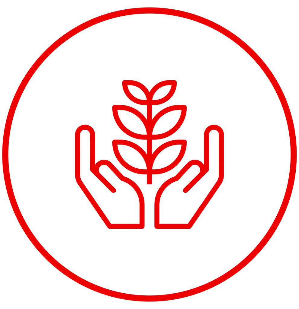 environment icon