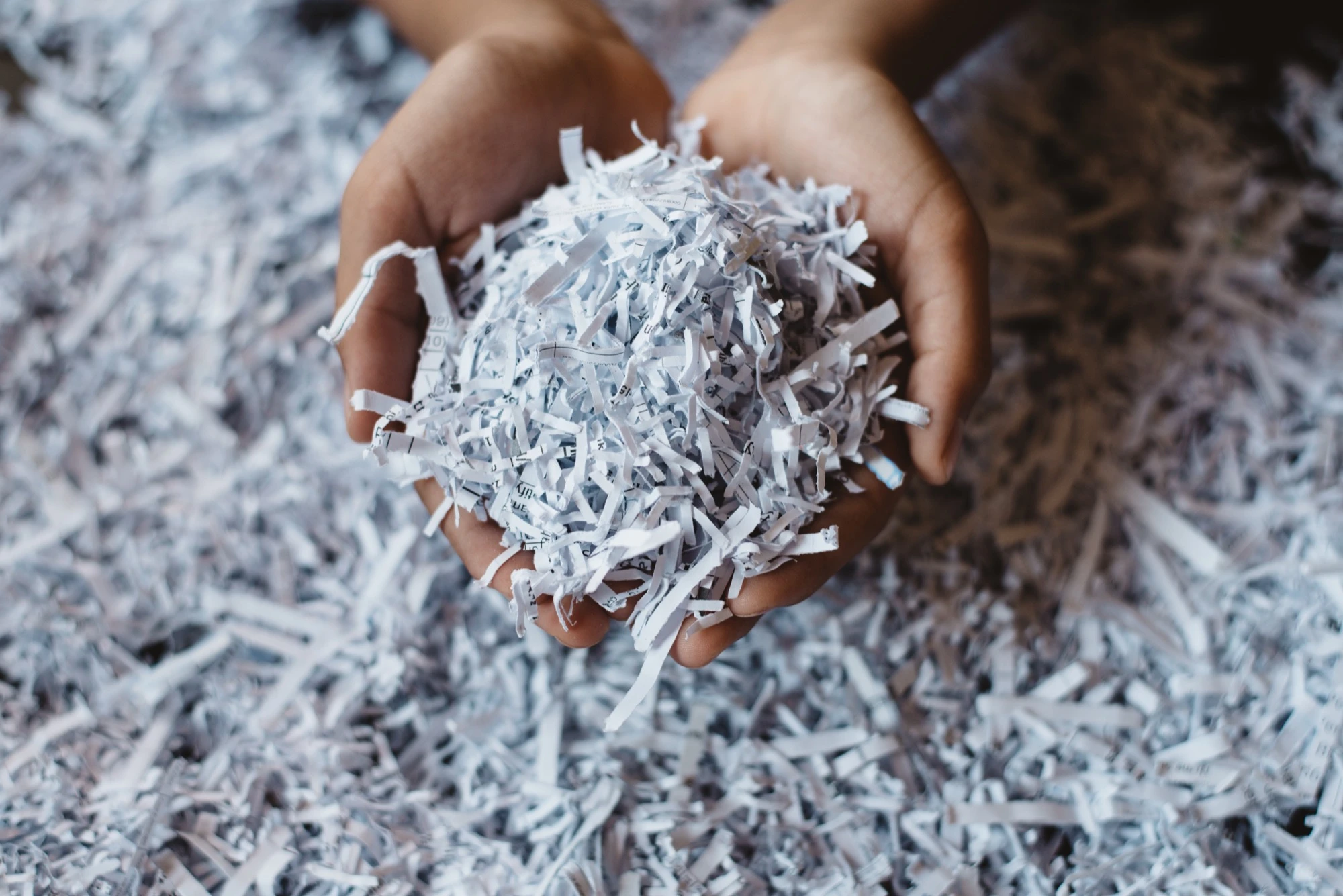 Document Destruction Services